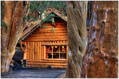 arrayanes-quetrihue-1