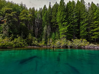 florian-delee-2t9A7HT2dos-unsplash-1170x878