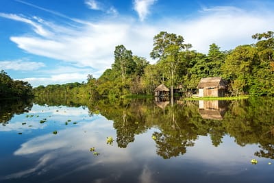 Jungle Shack and Sky